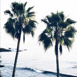 Meet your Posher, Jaeda